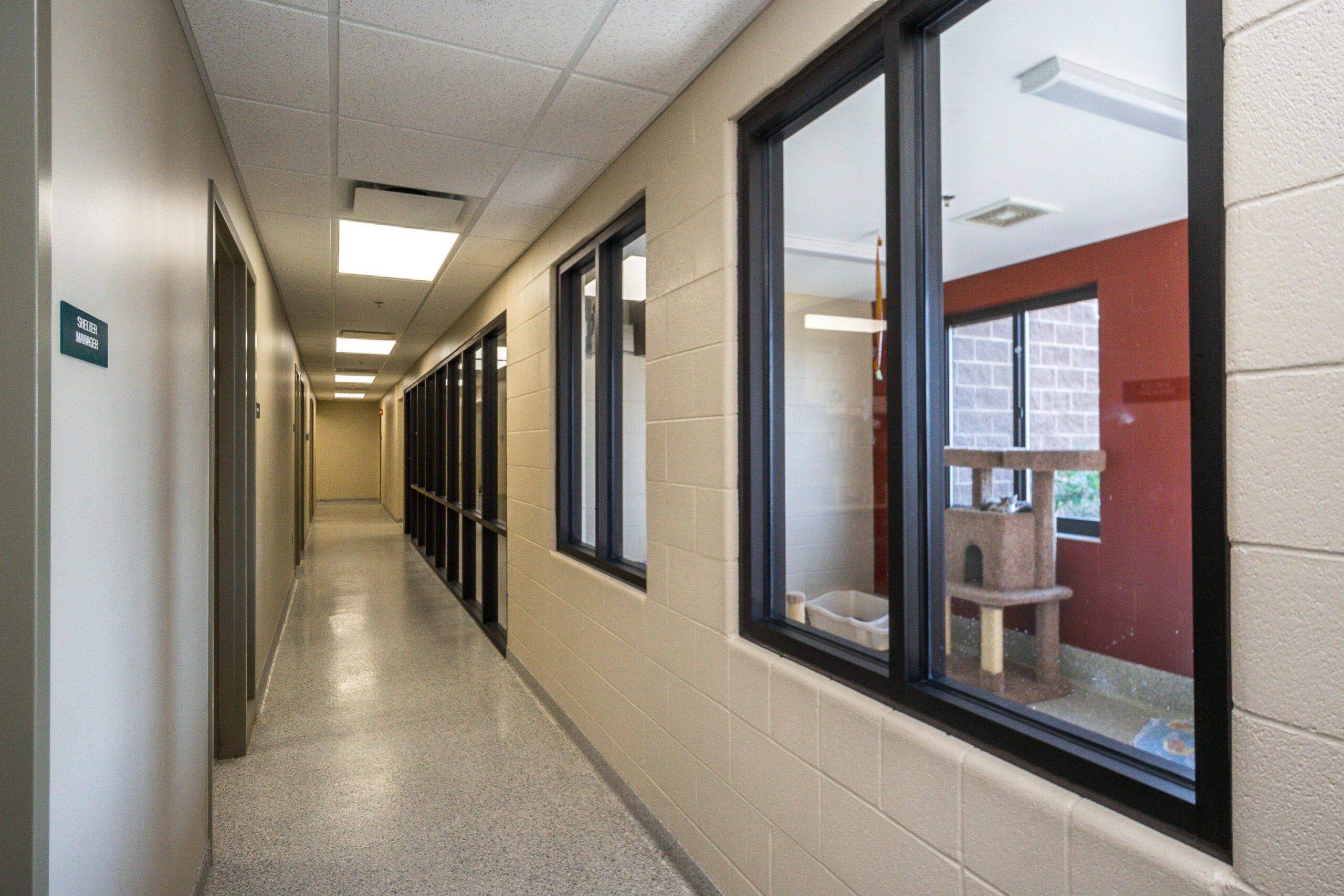 Porter County Animal Shelter cat room LarsonDanielson Construction